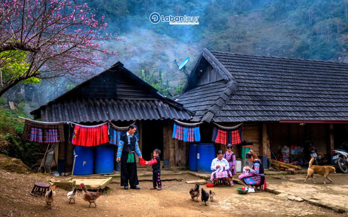 du lịch sapa tháng 8
