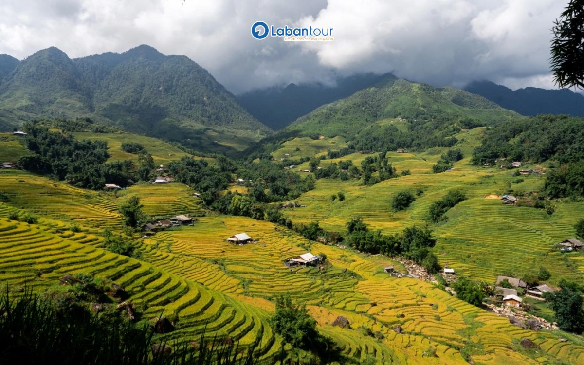du lịch sapa tháng 8