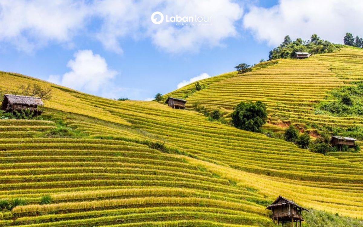 du lịch sapa tháng 9