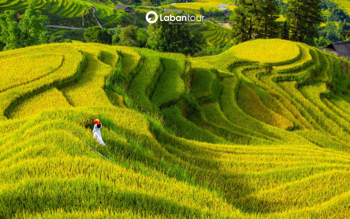 du lịch sapa tháng 9