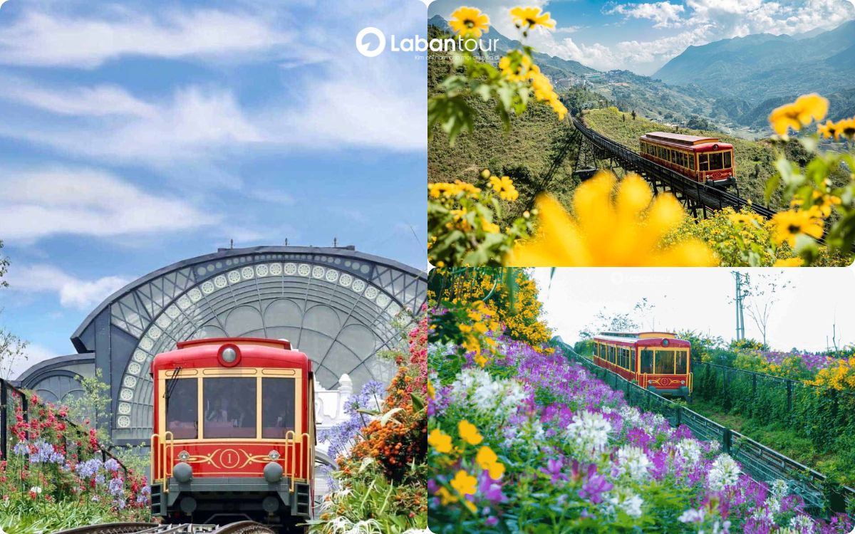 du lịch sapa tháng 9