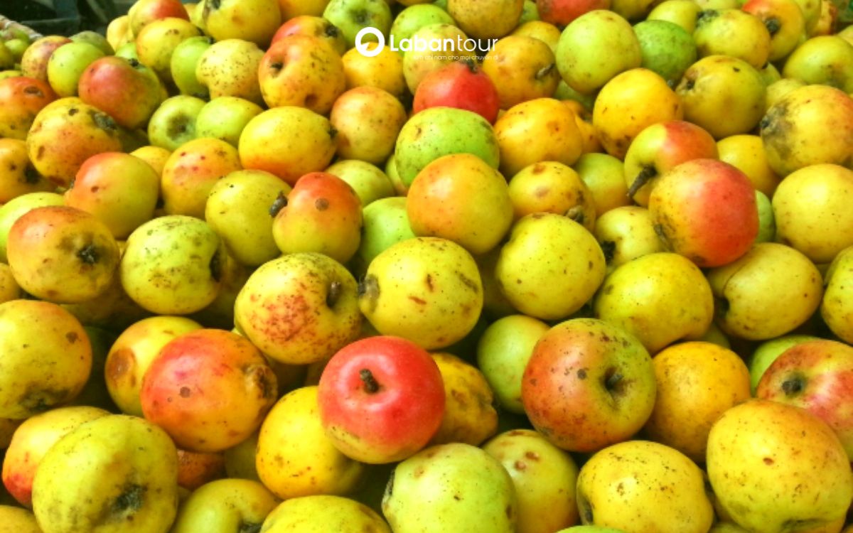 du lịch sapa tháng 9