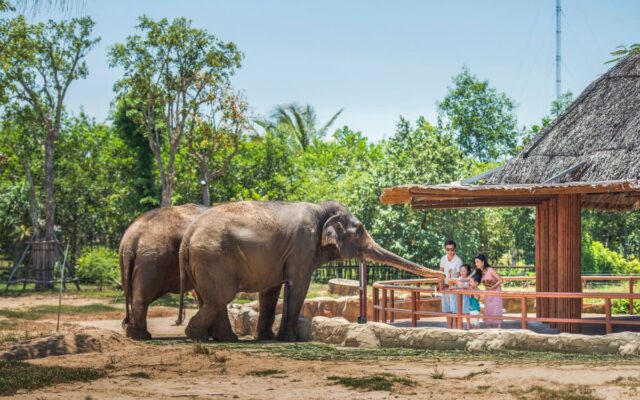vinwonders nam hội an ưu đãi người địa phương