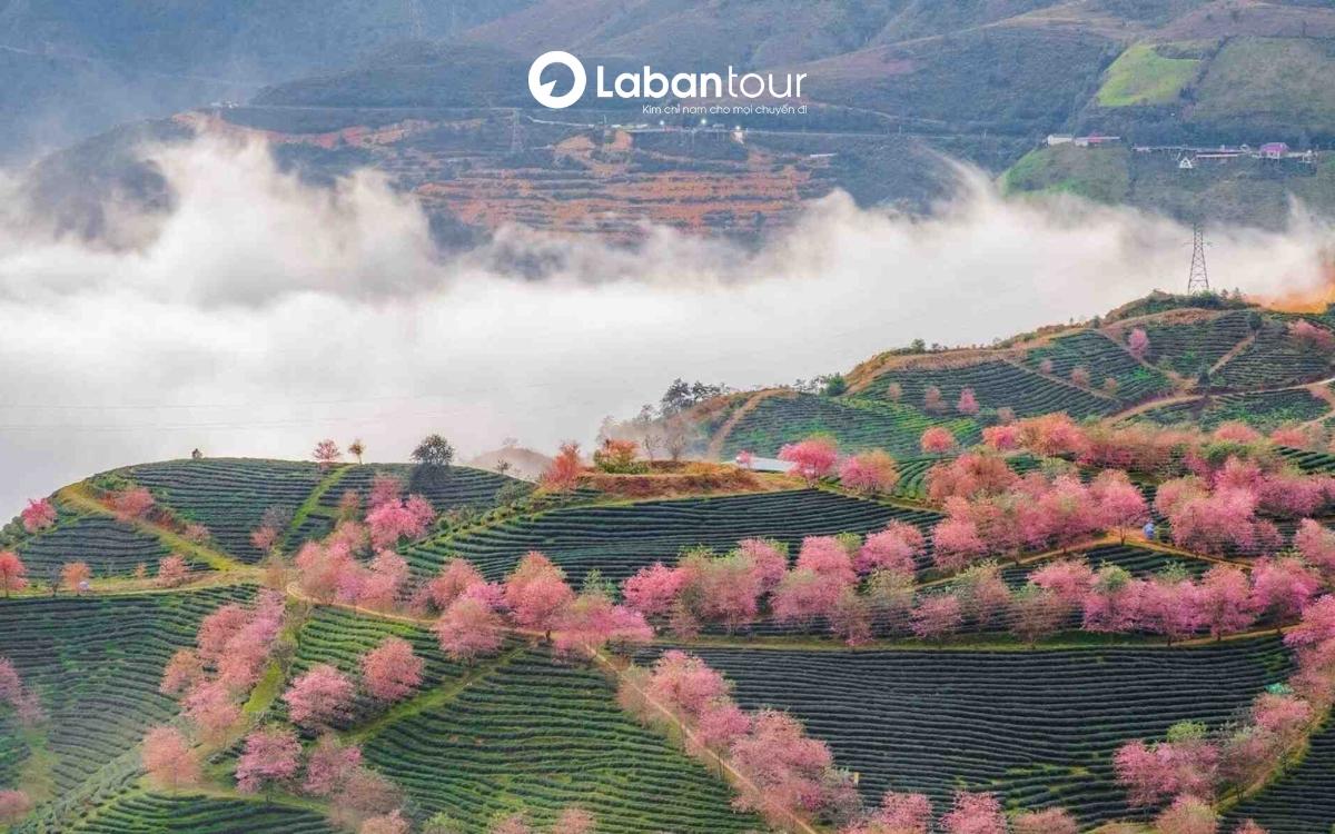 chi-phi-di-sapa-3-ngay-2-dem-03 chi phí du lịch sapa 3 ngày 2 đêm
