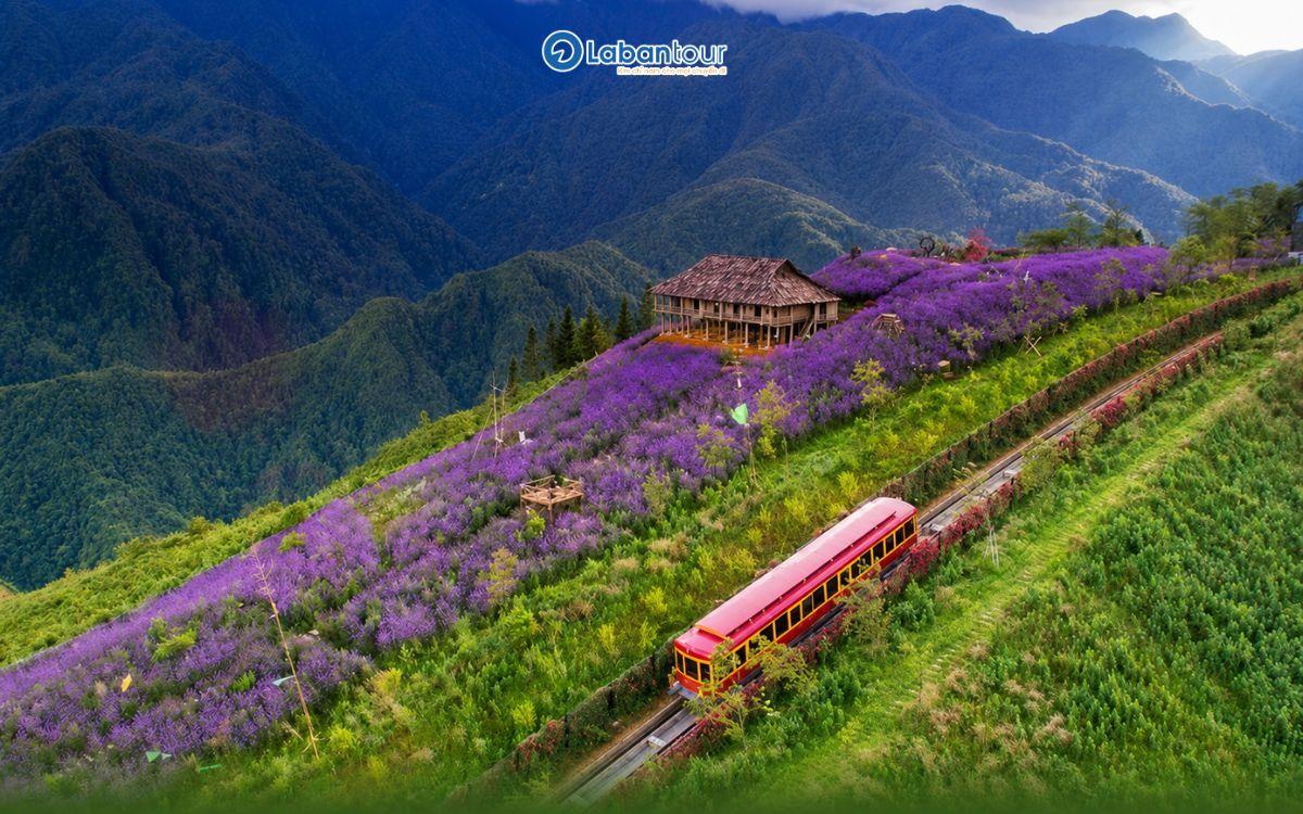 Thung lũng Mường Hoa du lịch sapa 2 ngày 1 đêm