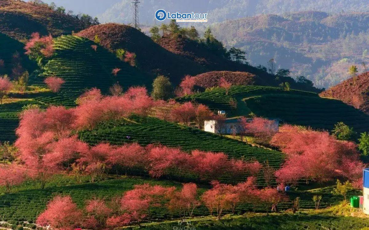 du lịch sapa 3 ngày 2 đêm