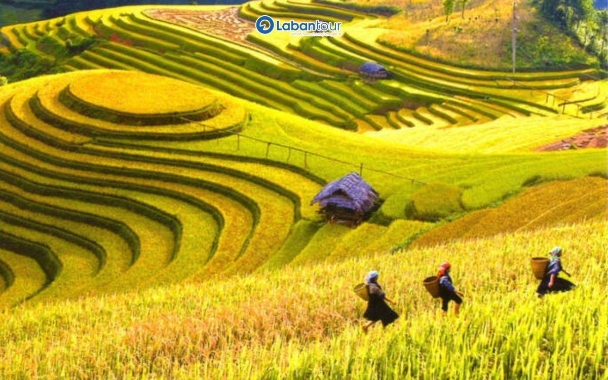 du lịch sapa 3 ngày 2 đêm