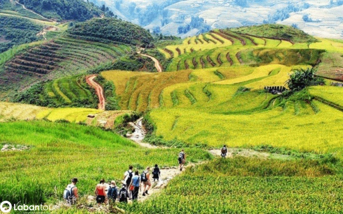 du lịch Sapa nên đi tour hay tự túc