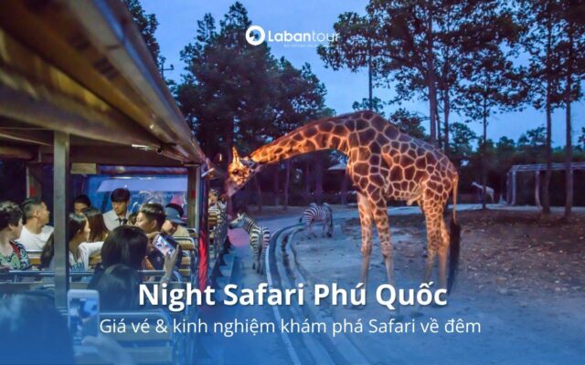 Night Safari Phú Quốc