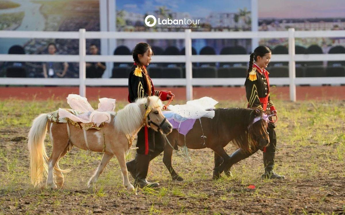 Tham gia các khóa học cưỡi ngựa để trải nghiệm vinpearl horse academy vũ yên