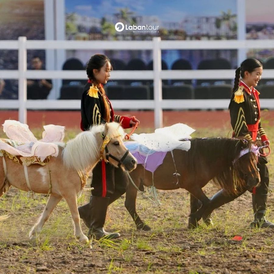 Vé Học Viện Ngựa Vũ Yên