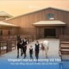 Vinpearl Horse Academy Vũ Yên