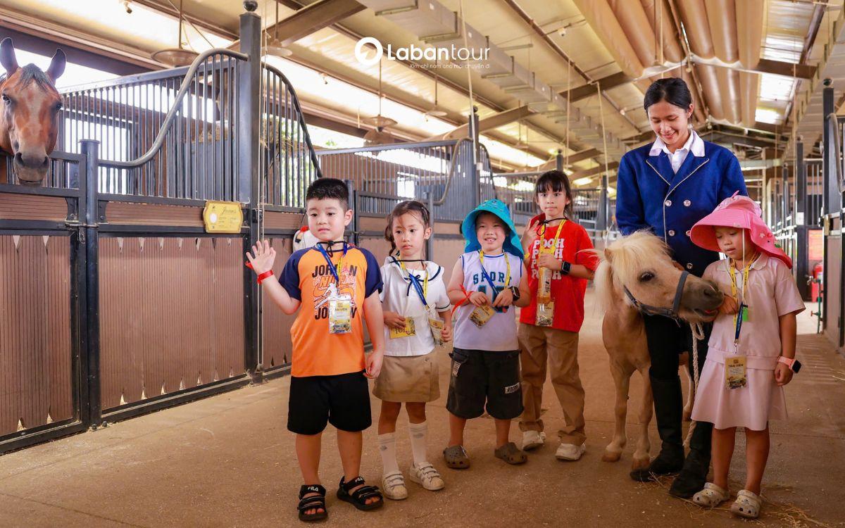 Trải nghiệm tour “Giáo trí” dành cho trẻ em vinpearl horse academy vũ yên