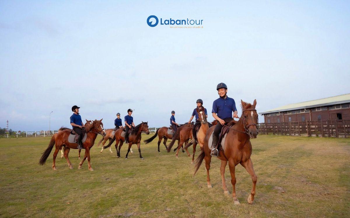 vinpearl horse academy vũ yên vinpearl horse academy vũ yên